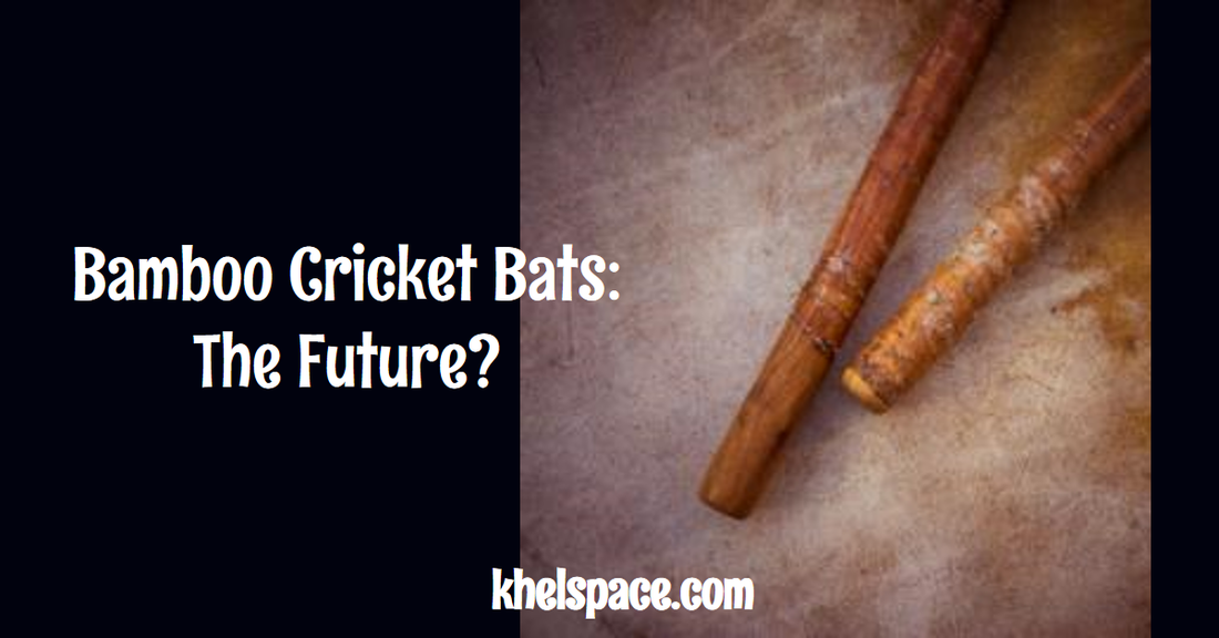 "Are Bamboo Cricket Bats the Future of the Sport?"