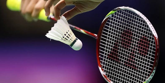 Transforming Badminton Analysis with TAPIR: Revolutionizing Object Tracking in the Sport