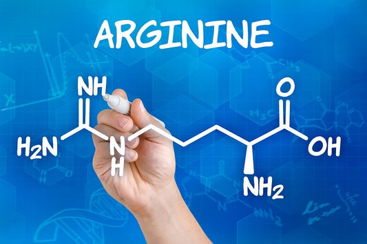 L-Arginine for Sports Performance: Benefits, Dosage, Side Effects, and More