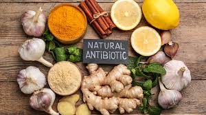 "Nature's Antibiotic Arsenal: Unveiling the Hidden Powers of Honey, Garlic, Myrrh, Thyme, and Oregano!"