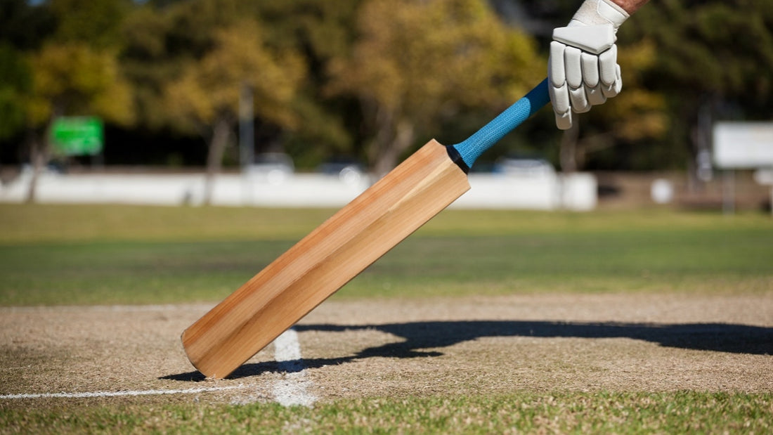 What Should You Look For When Buying a Cricket Bat?
