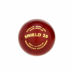 SG Shield 20 Cricket Leather Ball