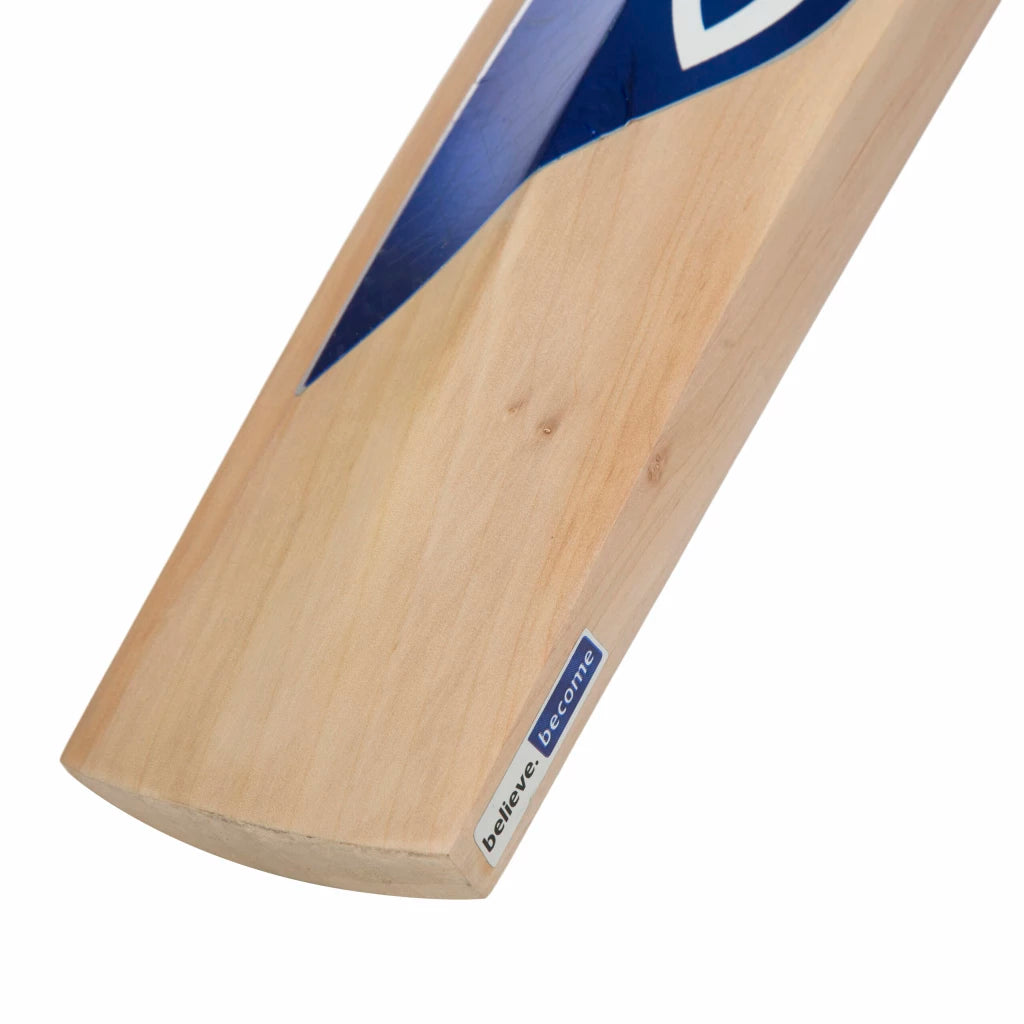 SG Boundary Classic Kashmir Willow Cricket Bat