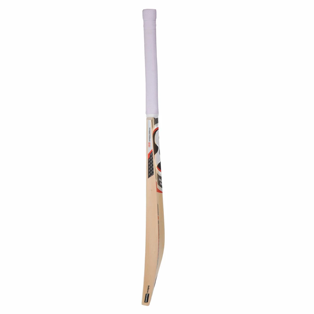 SG RSD Plus Kashmir Willow Cricket Bat