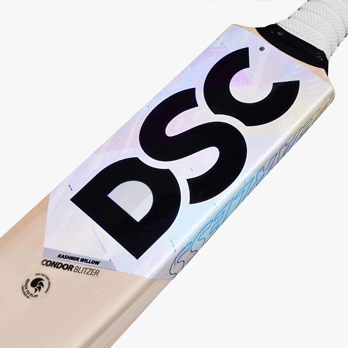 DSC Condor Blitzer Kashmir Willow Cricket Bat