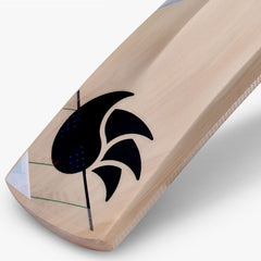 DSC Cricket Condor Flicker Kashmir Willow Bat