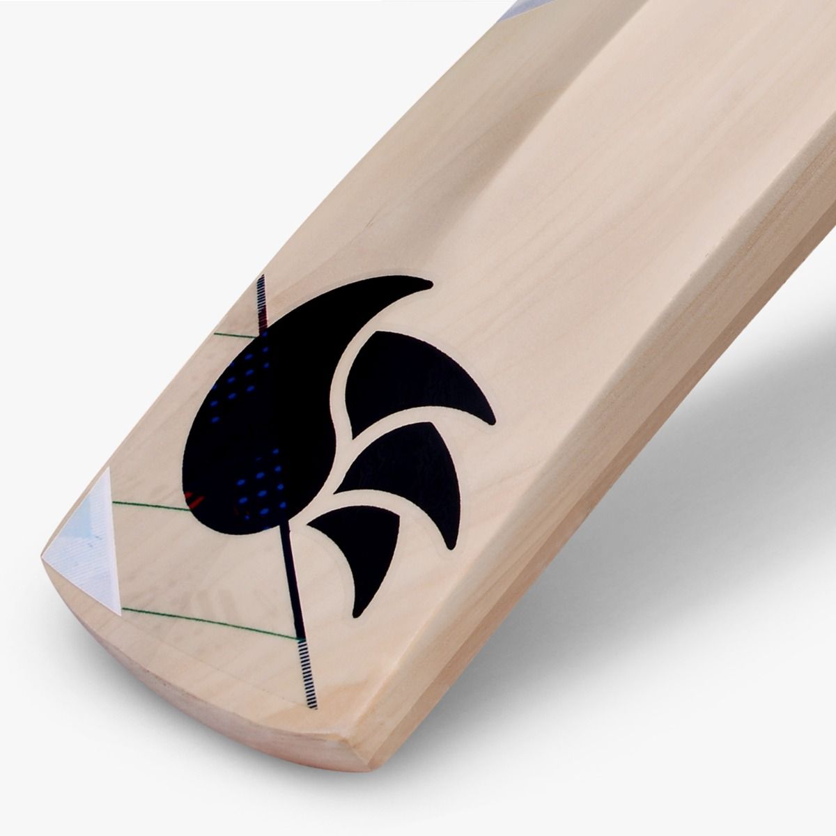 DSC Condor Blitzer Kashmir Willow Cricket Bat