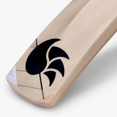 DSC Cricket Condor Ruffle Kashmir Willow Bat