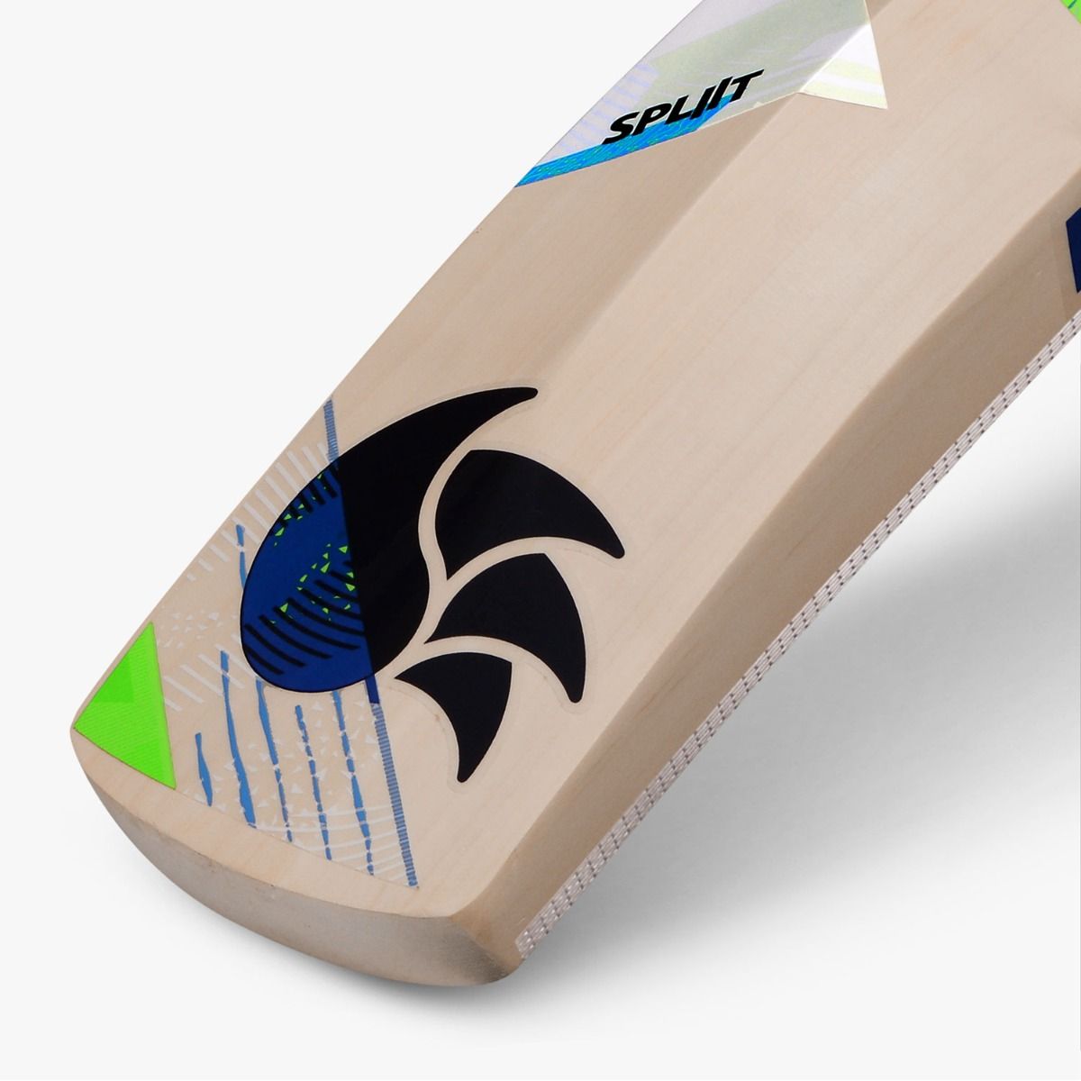 DSC Cricket Spliit 22 Kashmir Willow Bat