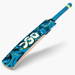 DSC Cricket Drake Kashmir Willow Bat