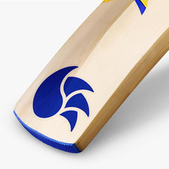 DSC Cricket Bravado 22 Kashmir Willow Bat