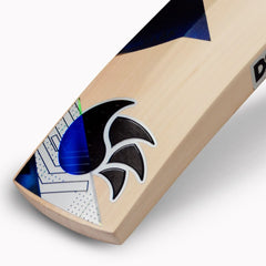 DSC BLAK 5 English Willow Cricket Bat