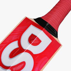 DSC IBIS 55 Kashmir Willow Cricket Bat