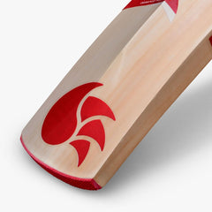 DSC IBIS 55 Kashmir Willow Cricket Bat