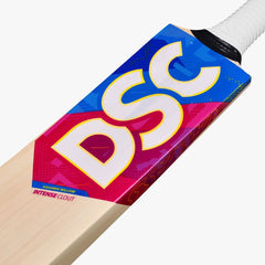 DSC Intense Clout Kashmir Willow Cricket Bat