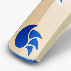 DSC BLU 66 Kashmir Willow Cricket Bat