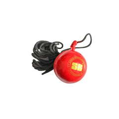 SS Hanging Cricket Ball (Pack of 2)