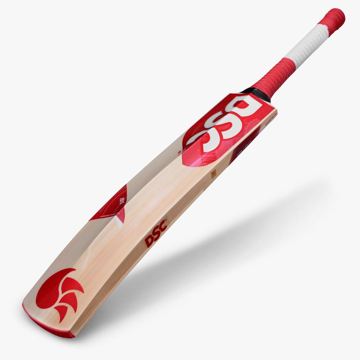 DSC Cricket IBIS 11 Kashmir Willow Bat