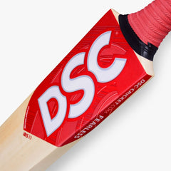 DSC IBIS 33 Kashmir Willow Cricket Bat