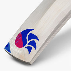 DSC Intense Assault English Willow Cricket Bat