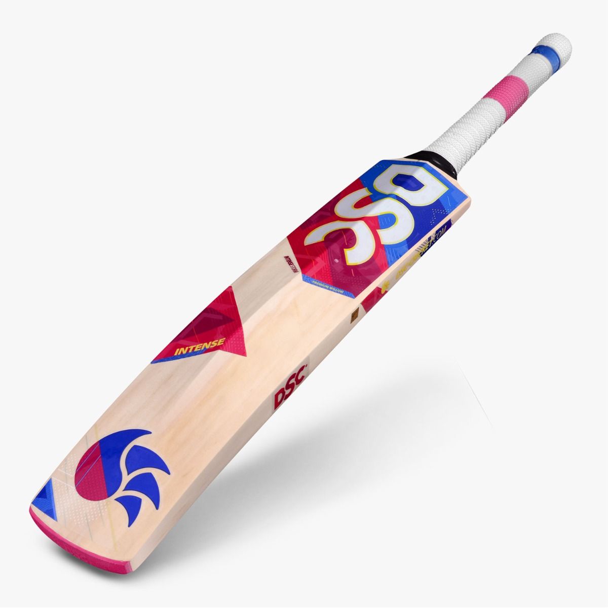 DSC Intense Storm Kashmir Willow Cricket Bat