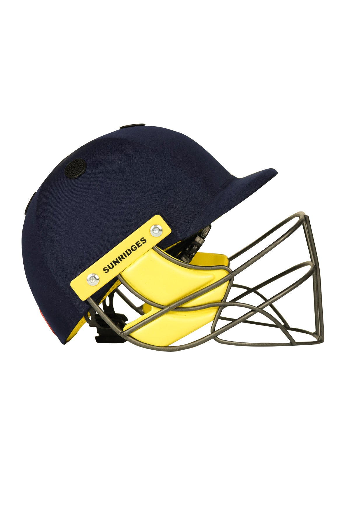 SS Pro Premium Cricket Helmet Large