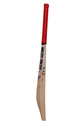 SS Professional English Willow Cricket Bat - SH