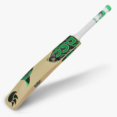 DSC Cricket Roar Hunter Kashmir Willow Bat